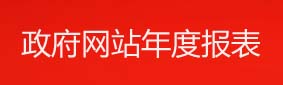 政府网站年度报表